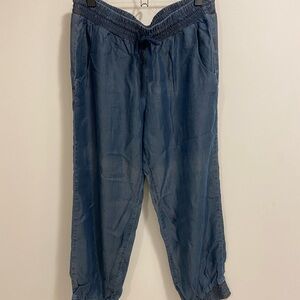 Cloth & Stone Chambray Joggers